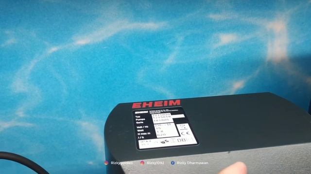 Review Aquarium dan Peralatan Ikan Hias di Ace Hardware смотреть онлайн