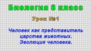 Биология 8 класс (Урок№1 - Человек как представитель царства животных. Эволюция человека.)