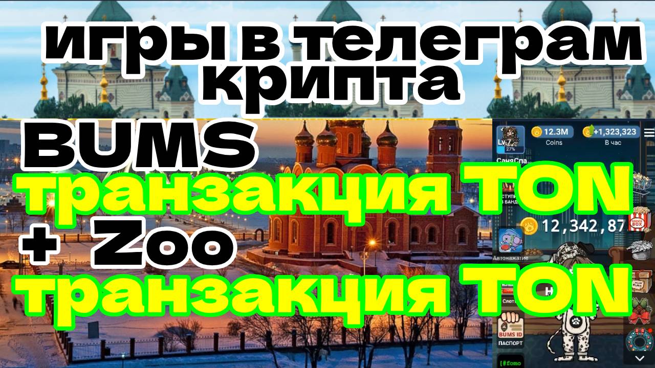 BUMS транзакция TON+Zoo транзакция TON