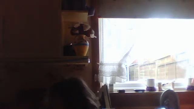 milly marshall's Webcam Video from 22 April 2012 10:38 (PDT) смотреть онлайн