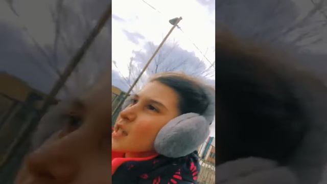 24 часа на улице с собакой 🙀 смотреть онлайн