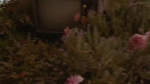Gucci Bloom starring Dakota Johnson (2017)
