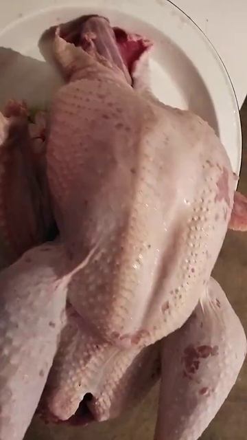 индюк чистый вес 15кг смотреть онлайн