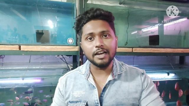 Before Start Your Business || Learn Before You Earn || Fish Business Important Parts || 9836-515451 смотреть онлайн