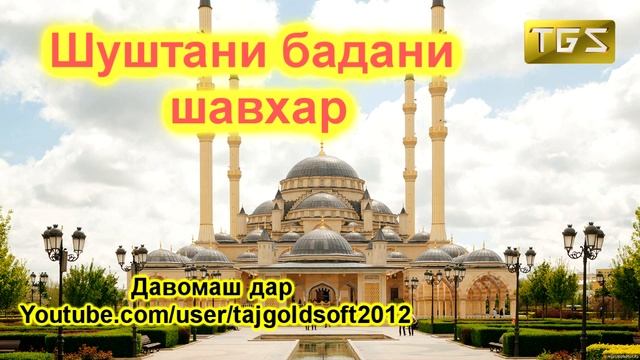 Зан метавонад сар ва бадани смотреть онлайн