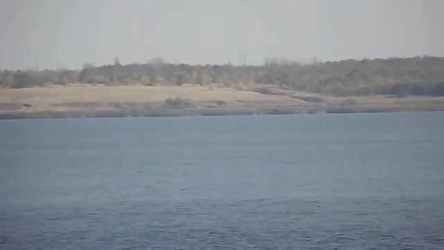 Шлюзовой 51 проект 887А ОАО Саратовское речное транспортное предприятие , порт приписки Саратов смотреть онлайн