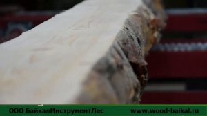 Линия распиловки круглого леса