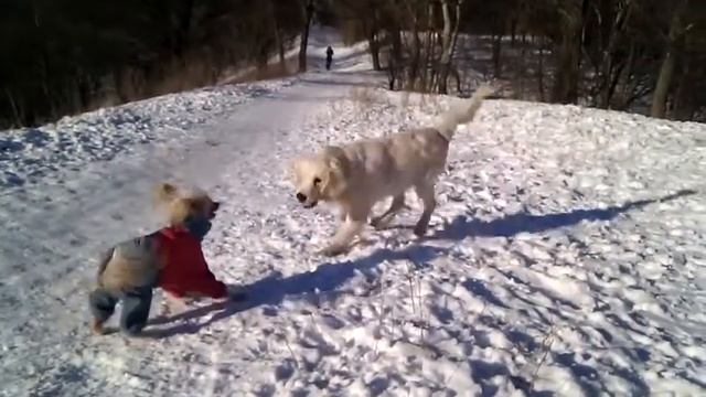 Тюдор играется, зима, 1.4 месяца, смотреть онлайн