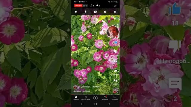 є час поспілкуватися! смотреть онлайн