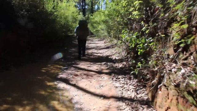 Wild camping in the Western Australia Southwest - King jarrah Trail смотреть онлайн