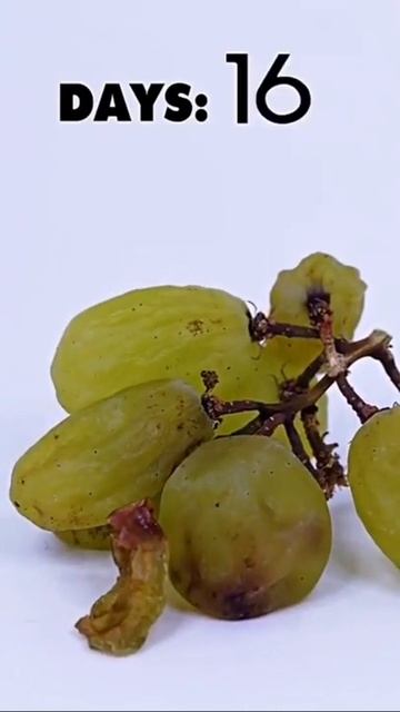 Как делают изюм? смотреть онлайн