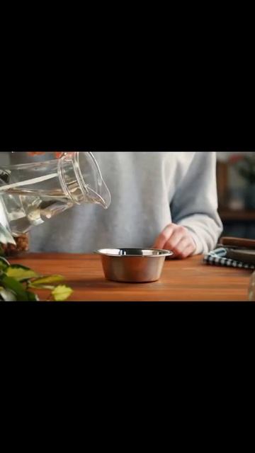 Смекалистый КОТ и КУЛЕР shorts