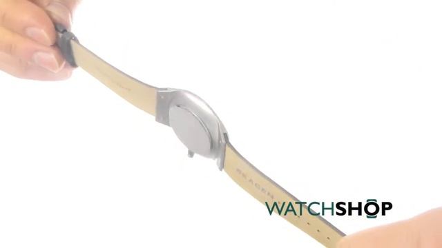 Skagen Men's Watch (SKW6116) смотреть онлайн