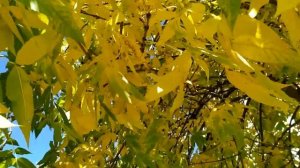 Осколки 2 сезон 1 - 2 серия | Мелодрама 2021