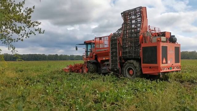 Holmer T3 kampan 2020 смотреть онлайн