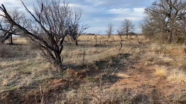 Pig Down on Camera (know when to Hunt) смотреть онлайн