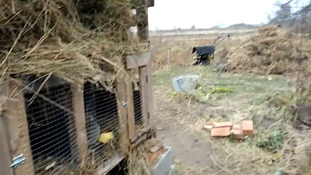 Первый опыт сварки. Сено. Планы смотреть онлайн