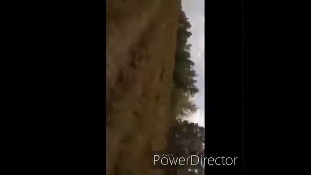 серый на комбайне смотреть онлайн