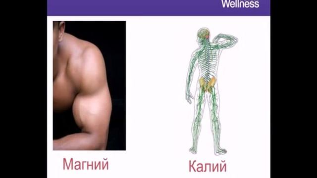 Wellness by ORIFLAME или как похудеть с умом смотреть онлайн