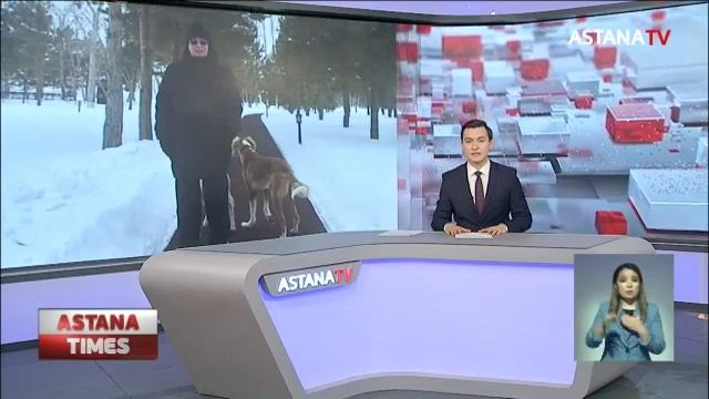 Президент тазы асырайды