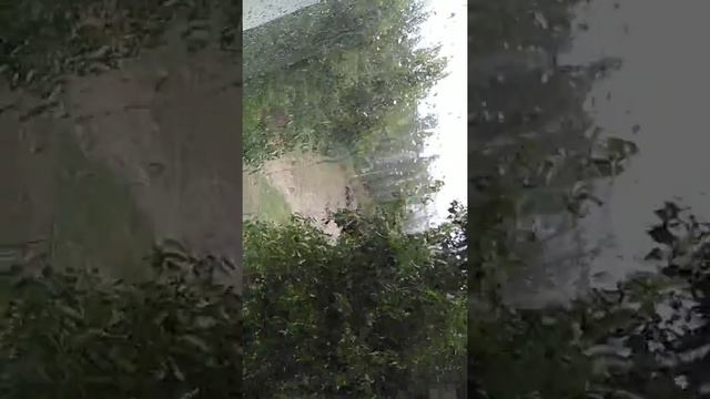 Дождь в Камышине смотреть онлайн