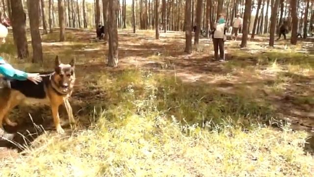 Призрак смотреть онлайн