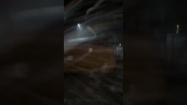 Утепляю курятник. Куры довольны. смотреть онлайн