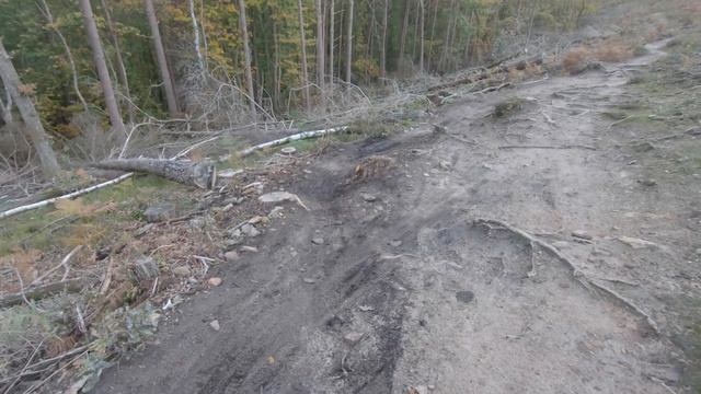 WATCH THIS If You've Got Lost At Surrey Hills! Part 2 смотреть онлайн