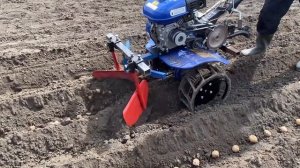 Як загорнути картоплю легким мотоблоком!?