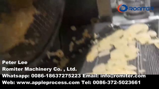 Automatic Dehydrated Apple Chips Production Line смотреть онлайн