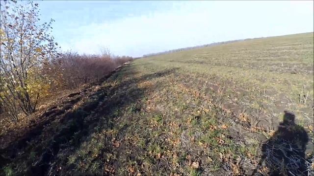 А Микола бл... промазал по зайцу )))Открытие на зайца 2018г смотреть онлайн