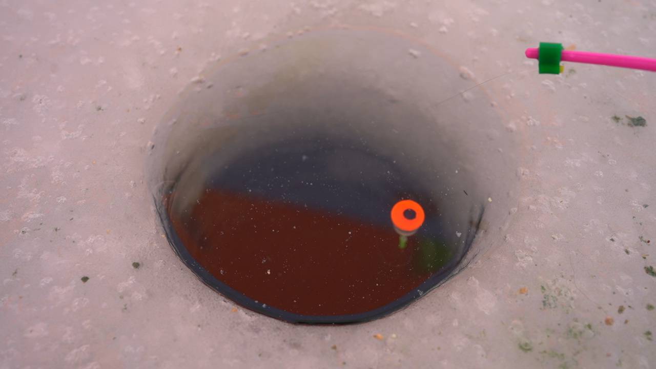 Переехали на новое место и пошло дело. Рыбалка на поплавок смотреть онлайн