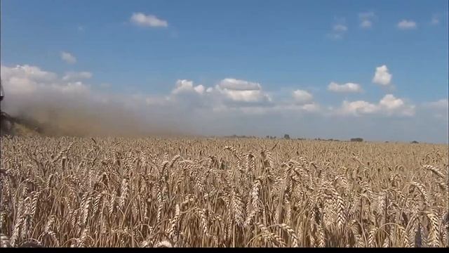 Który lepszy? Claas Mega 208 czy New Holland CX 6080 (oryginalny ryk silników) смотреть онлайн