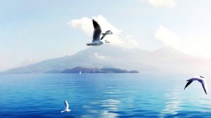 Владимир Туманов - Презентация канала .