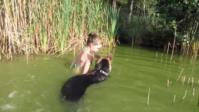 Гуляем с Лари...надежные друзья... смотреть онлайн