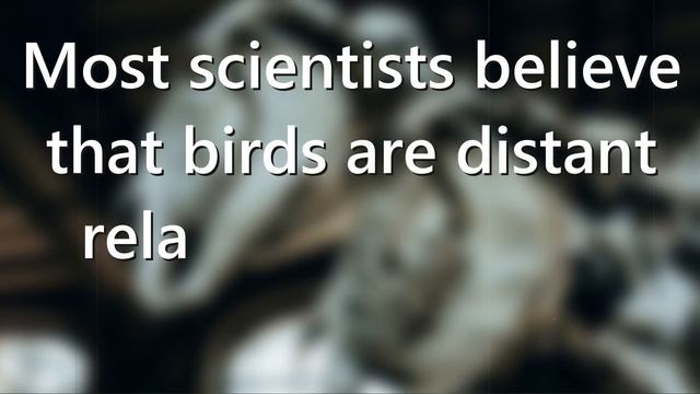 Starlight 8 Module 4F. Back to life. смотреть онлайн