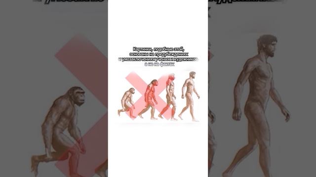 Эволюция или Сотворение? | Эволюция — это теория или факт? | Теория эволюции - Теория Дарвина смотреть онлайн