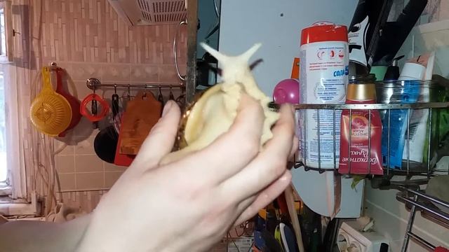 Улиточка! смотреть онлайн
