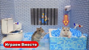 Тюрьма для умных Хомяков ! Выбираемся из лабиринта с ловушками ! Видео для детей
