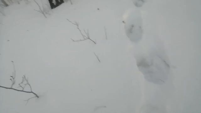 пилю валежник смотреть онлайн