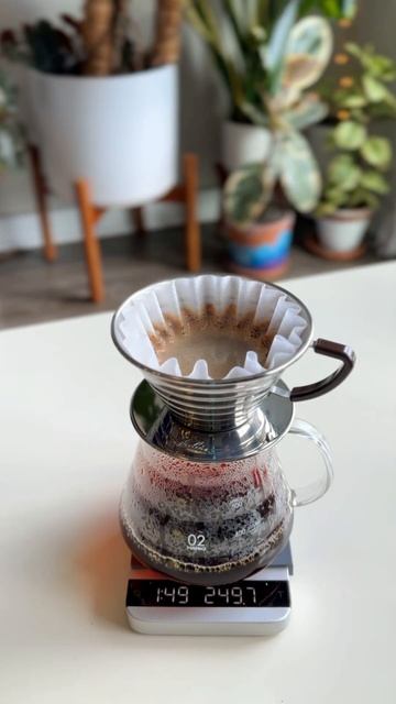 Pour over tutorial for the Kalita Wave! #coffee #tutorial #coffeelover #howto смотреть онлайн