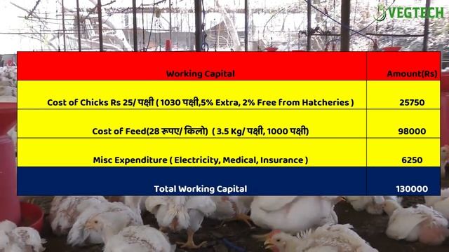 Poultry Farming Business Plan - 1000 Bird Poultry Farm Project Report - Vegtech смотреть онлайн