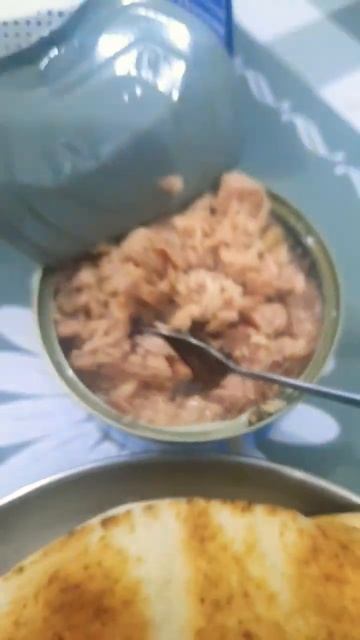 Tuna with Kubos Arabic bread budget meal #shorts смотреть онлайн