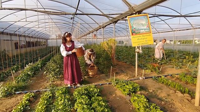 Palio della Vittoria in Pillole - Le verdure battagliere di Ortobono смотреть онлайн