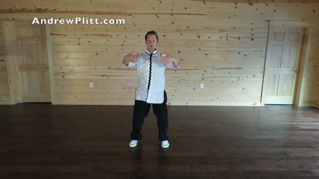 (93/93) Yang Tai Chi 108 Form: Moves 105-108 (#Yang #Taijiquan #Taiji) смотреть онлайн