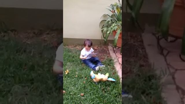 Santi, la foto y el conejo смотреть онлайн