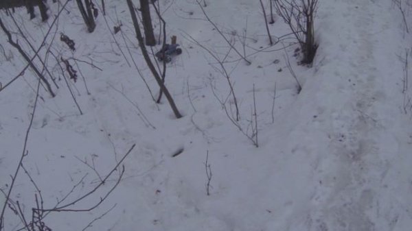 Бирюлевский пруд