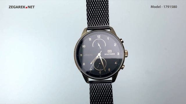 Tommy Hilfiger Męskie 1791580 - Zegarek.net