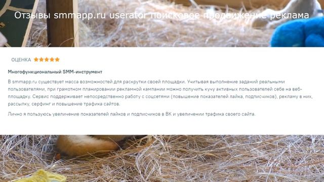 Отзывы smmapp.ru userator поисковое продвижение реклама смотреть онлайн