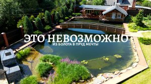 Лесническое: болото стало прудом мечты для всей семьи!